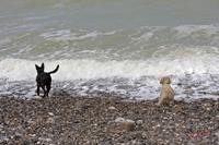 Cjp_2010_04_14_132905 (1).jpg